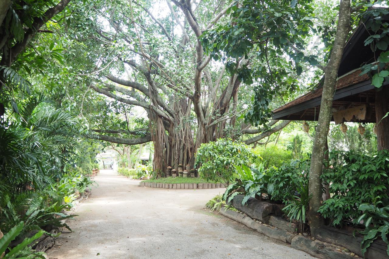 Khum Khun Wang Resort Mae Wang Luaran gambar